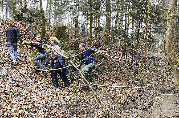Arbeit in der Natur: Gemeinsam können auch grössere Baumteile zu den Asthaufen geschleppt werden. Foto: Heiner Leuthardt