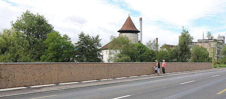 Wehren sich gegen die geplante Lärmschutzwand: Die Bewohner der Nordseite der Laufenstrasse befürchten Mehrlärm und den Blick auf eine gelochte Metallkonstruktion statt auf Natur, Birs, Ramsteinerbrücke und Schloss.Foto: Gaby Walther