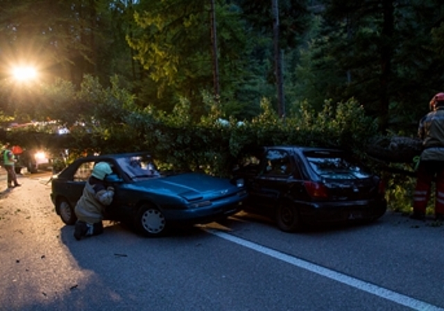 Unfall auf der Blauenstrasse: Ein vom Sturm gefällter Baum trifft zwei Personenwagen. Foto: Martin Staub
