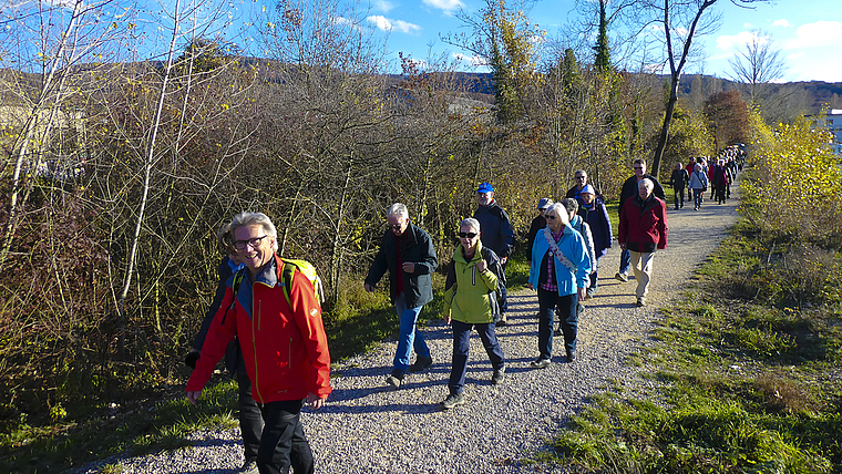 Vom Wetter verwöhnt: Im Sonnenschein marschierten 170 Mitglieder von Wanderwege beider Basel auf dem Birsuferweg von Aesch nach Arlesheim zur Herbstversammlung. ZVG