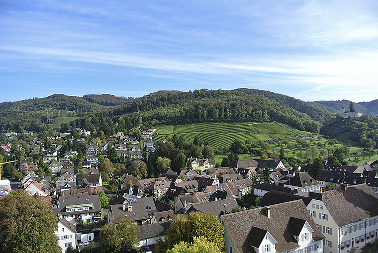 Die Übersicht behalten: Die Zonenplanrevision ist ein Prozess, bei dem verschiedene, auch sich widersprechende Bedürfnisse berücksichtigt werden müssen. Foto: ZVG