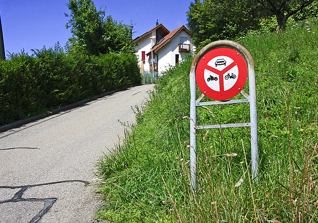 Umstrittenes Fahrverbot: Das Mittelstück des Schulgartenweges, zwischen Rebenweg und Efringerweg.  Foto: Edmondo Savoldelli