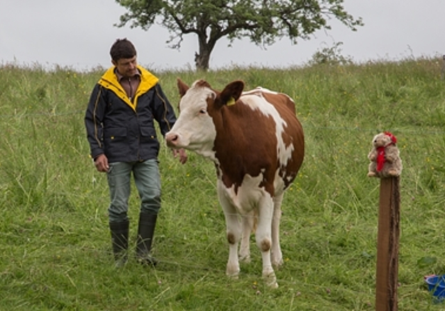 Der Kuhflüsterer: Bauer Walter Jäggi redet der tierischen Schauspielerin ins Gewissen. Im Vordergrund (r.) eine Stoffpuppe, auf die später geschossen wird. Kommt öfter zum Einsatz: Die berühmte Filmklappe. Das Team dahinter: Samuel Morris (unter