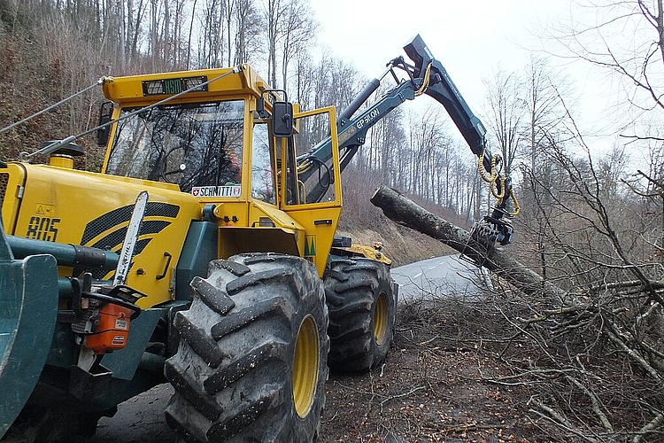 <em>Entlang der Kantonstrasse Büren-Seewen wird zurzeit hart gearbeitet: </em>Sechs Forstwarte und vier Lehrlinge holen 450 Kubikmeter Holz mit zum Teil schweren Geräten aus dem Wald.<em/>
