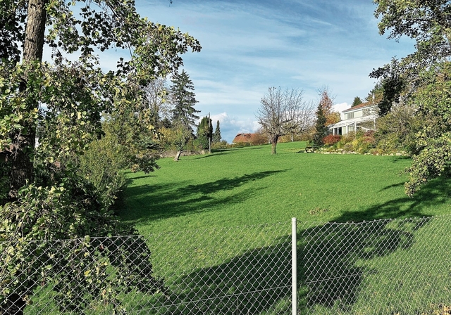 Soll verkauft werden: Die Parzelle hinter dem Wasserreservoir und dem Spielplatz im Gebiet Unter-Erli. Foto: Nicolas Blust