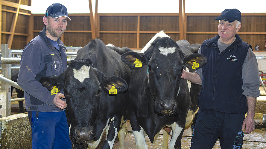 Können sich ein Leben ohne Milchkühe nicht vorstellen: Josef Vögtli (l.) und Thomas Vögtli haben eine Betriebsgemeinschaft gebildet und setzen auf Doppelnutzung. Foto: Bea Asper