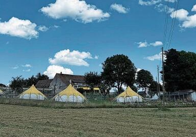 Unbefriedigend: Die Gewächshauszone in Mariastein wird derzeit für Freizeitaktivitäten genutzt. Foto: Bea Asper