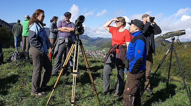 Jedes Vögelchen wird registriert: Naturfreunde halten Ausschau auf dem Gupf. Foto: Jürg Jeanloz