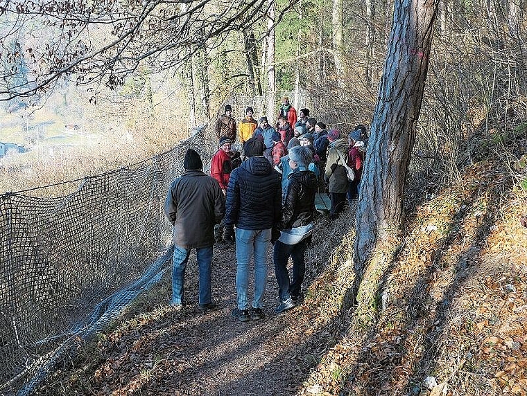 Schutzmassnahme: Förster Gerhard Walser erklärt auf dem schmalen Dorfhollenweglein den Umbau des Schutzwalds. Rechts im Bild ein zum Fällen markierter Baum. Foto: Niklaus Starck