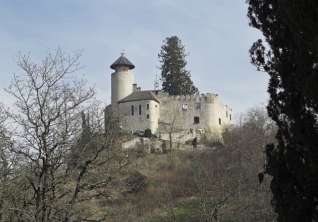 Schloss Birseck: Vom Machtsymbol zum Ausflugsziel. Der Anschluss an die Schweiz machte aus Untertanen Bürger. Foto: Edmondo Savoldelli