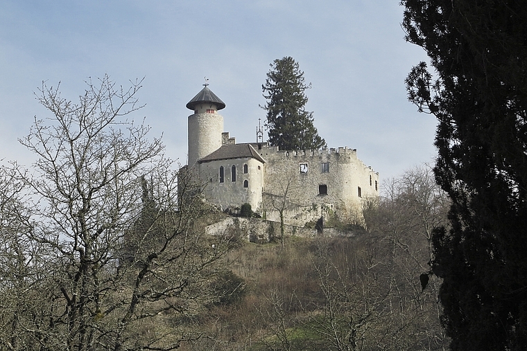 Schloss Birseck: Vom Machtsymbol zum Ausflugsziel. Der Anschluss an die Schweiz machte aus Untertanen Bürger. Foto: Edmondo Savoldelli