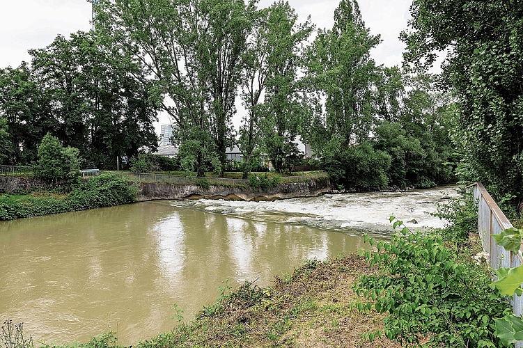 Hier wäre eine Brücke machbar: Bei den Stromschnellen könnte der Fluss überquert werden. Foto: Archiv / Kenneth Nars