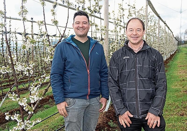 Es ist offensichtlich: Benjamin Meier (l.) und Heinz Ehrsam freuen sich auf das 3. Schorniggelifescht am Sonntag 1. Mai auf der Kirschenanlage in St.Pantaleon.  Foto: Benildis Bentolila