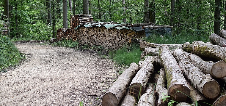 Fusion: Der Forstbetrieb Schwarzbubenland wird den Wald pflegen.Foto: Bea Asper