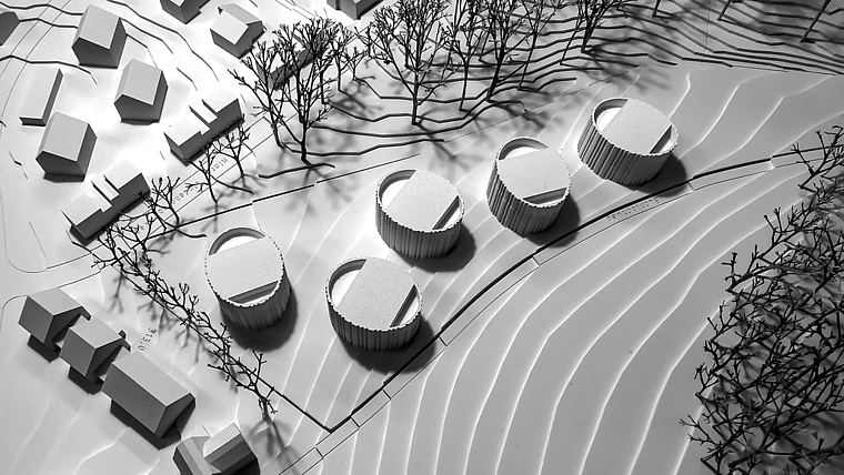 Unkonventionell: Im jüngsten Buechloch-Projekt sollen Wald und Überbauung optisch miteinander verschmelzen. Foto: ZVG