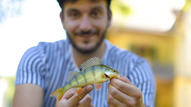 Geduld: Manchmal dauerts, aber das Warten lohnt sich, wie auf diesen schönen Barsch. Foto: Lucy Schmid