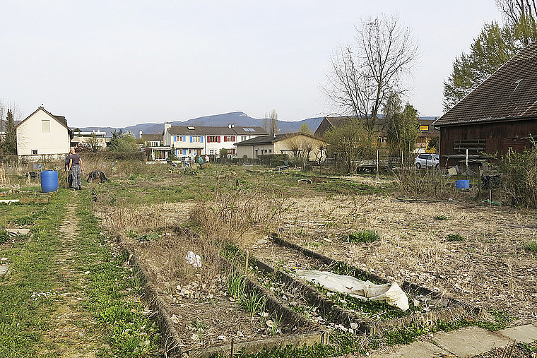 Mit Wehmut abgeräumt und zum Bau bereit: Auf dem Gartenareal Bodmen werden rund
