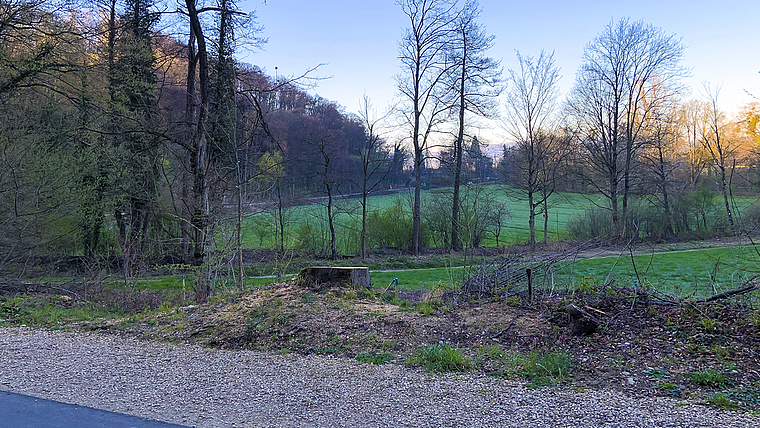 Am Waldrand: Entlang des Veloweges zwischen Münchenstein und Muttenz sollen Ende April drei Weiher angelegt werden, Foto: Caspar Reimer