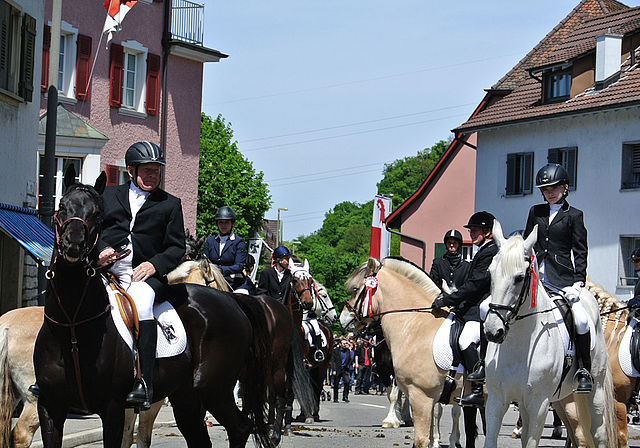 Vorhut: Auch Kanonendonner kann die Reiter und ihre Pferde nicht verunsichern.  Foto: Bea Asper