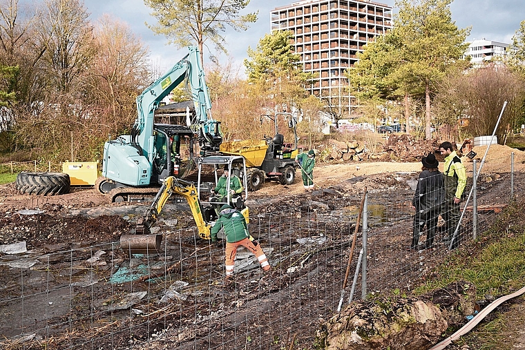 Arbeiten für die Biodiversität: Der Weiher wird von Schlamm befreit. Foto: Fabia Maieroni