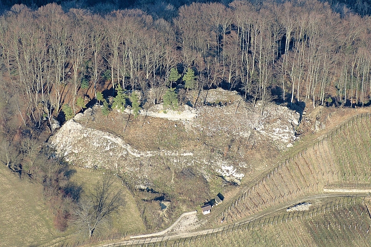 Unscheinbar: Die Dimensionen der einstigen Burg Frohberg lassen sich heute nur noch erahnen. Foto: ZVg / Patrick Nagy, Archäologie Baselland