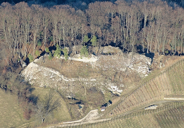 Unscheinbar: Die Dimensionen der einstigen Burg Frohberg lassen sich heute nur noch erahnen. Foto: ZVg / Patrick Nagy, Archäologie Baselland