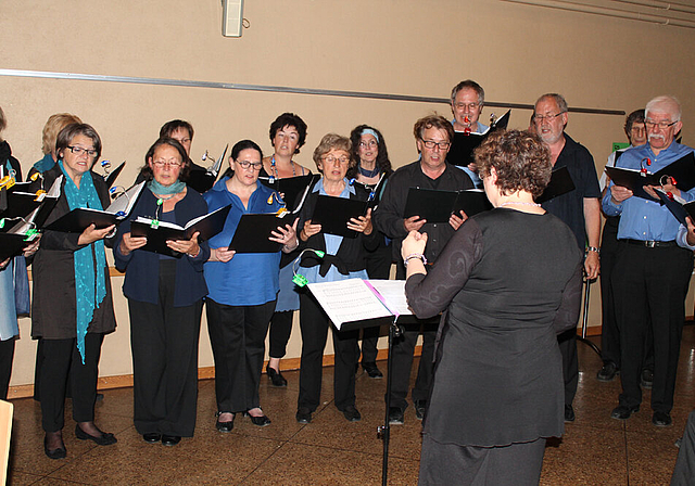 Singt mehrsprachig: Der Regionale Kammerchor Laufental-Thierstein.   Foto: Dimitri Hofer