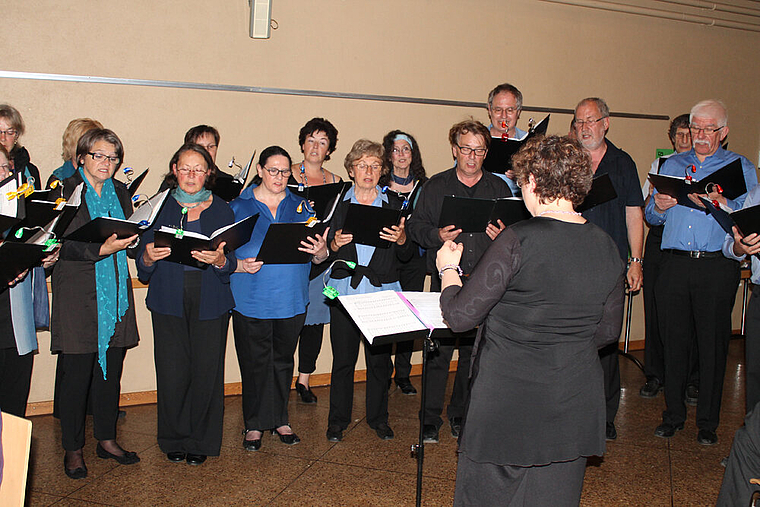 Singt mehrsprachig: Der Regionale Kammerchor Laufental-Thierstein. Foto: Dimitri Hofer
