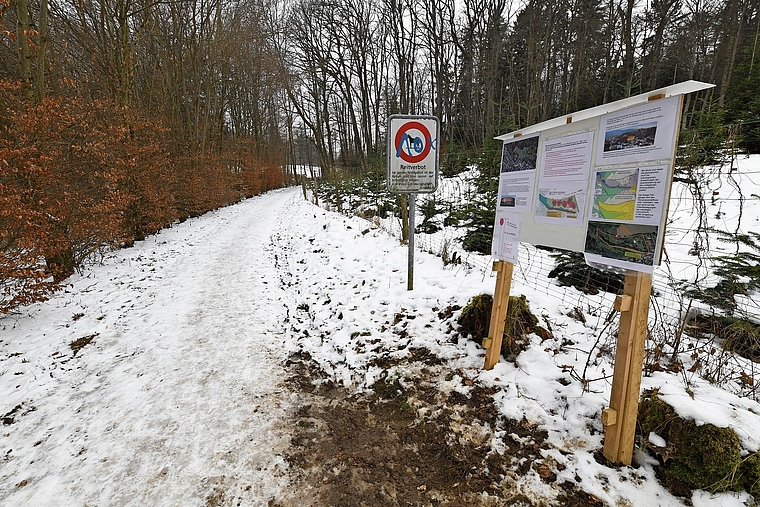 Umgeben von Wald: Das Buchloch-Areal könnte schon bald überbaut werden. Foto: Juri Junkov/Archiv