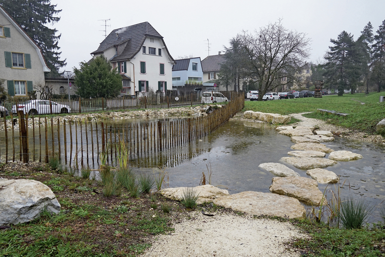 Oase für Amphibien: Der Schiffliweiher wurde in den 80er-Jahren erbaut und 2024 erneuert. Foto: Tobias Gfeller