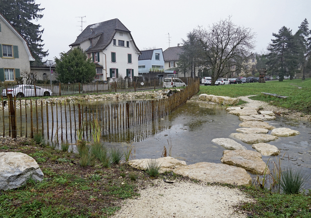 Oase für Amphibien: Der Schiffliweiher wurde in den 80er-Jahren erbaut und 2024 erneuert. Foto: Tobias Gfeller