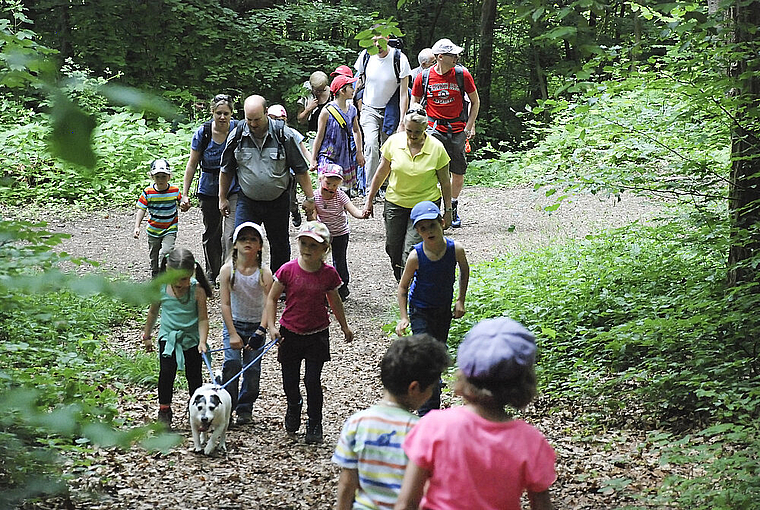Nichts für Bewegungsmuffel: Aufstieg auf dem Grenzweglein. Foto: Thomas Brunnschweiler