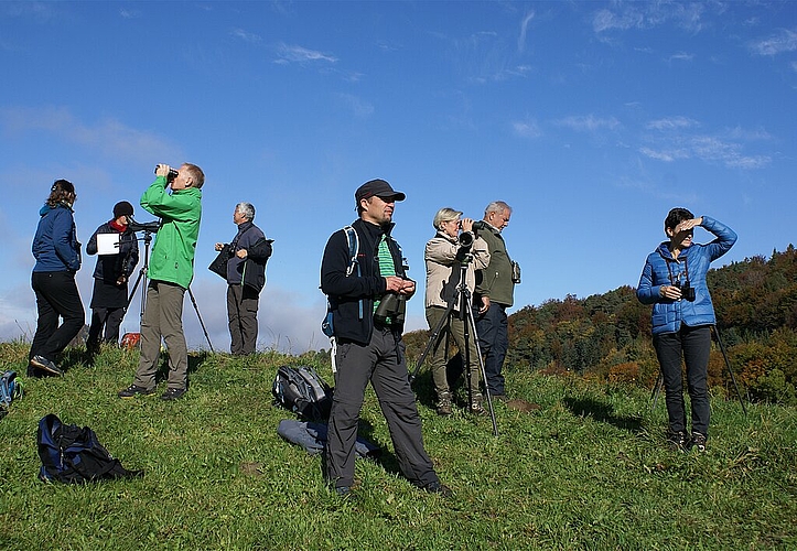 Halten Ausschau: Vogelfreunde auf dem Gupf. Fotos: Jürg Jeanloz
