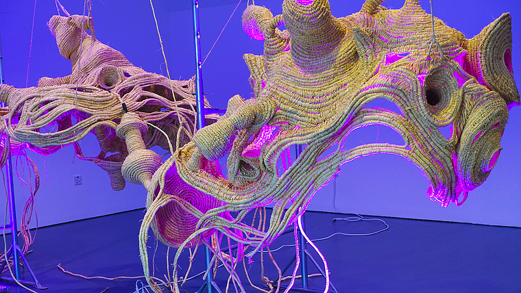 Auch das ist Kunst: die Installation «Thulhu thu thu, before the sun harms you» des Künstlerduos Knowbotiq. Foto: ZVG