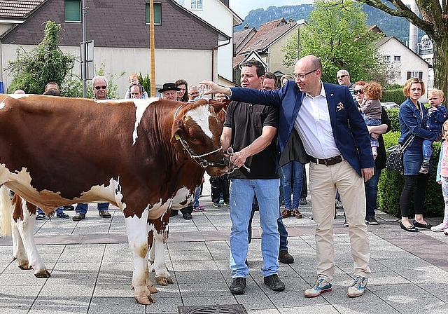 Taufe: Dominik Baier tauft den Muni aus der Zucht vom Eigenhof Seewen auf den Namen Neptun. Fotos: Gaby Walther 
