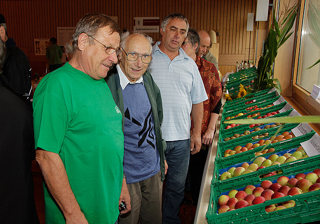 Ausstellung mit Beratung:Anton Flury, Präsident des Obst- und Gartenbauvereins Laufental (l.), gibt kompetent Auskunft.   Foto: Martin Staub
