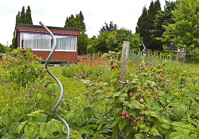Problematisch: Die Gartenkolonie in Rodersdorf verstösst gemäss Bund gegen das Zweitwohnungsgesetz.  Foto: Bea Asper