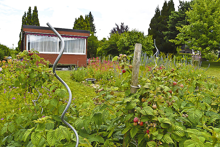 Problematisch: Die Gartenkolonie in Rodersdorf verstösst gemäss Bund gegen das Zweitwohnungsgesetz. Foto: Bea Asper