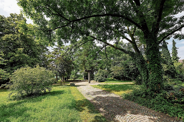 Wird zum Stadtpark umgebaut: Der alte Friedhof im Reinacher Dorfkern. Foto: Archiv / Kenneth Nars