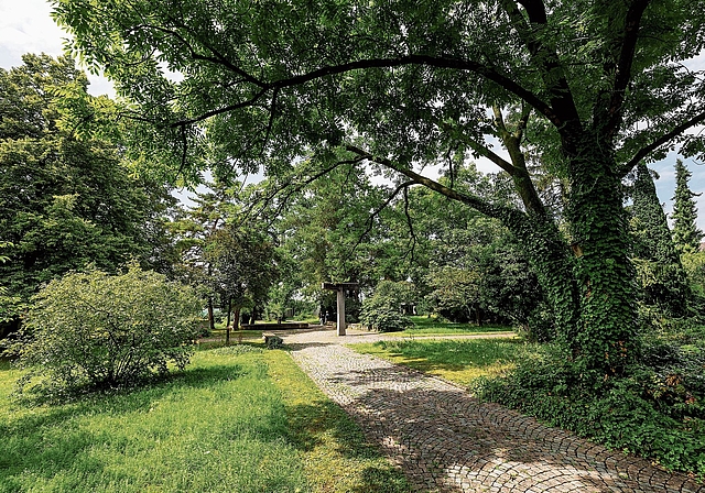 Wird zum Stadtpark umgebaut: Der alte Friedhof im Reinacher Dorfkern. Foto: Archiv / Kenneth Nars