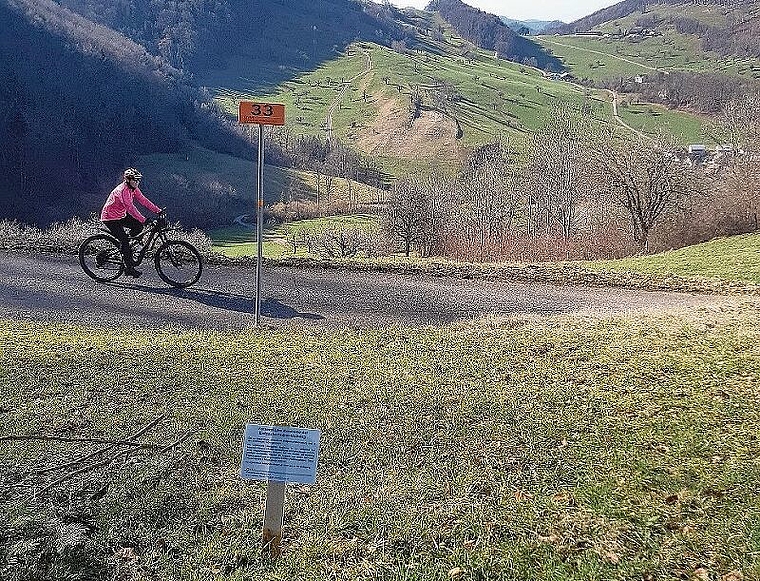 Kontrolle ist gut: Die orangefarbigen Tafeln markieren die Erdgasleitungen, die alle zehn Jahre unterirdisch inspiziert werden. Foto: Gini Minonzio