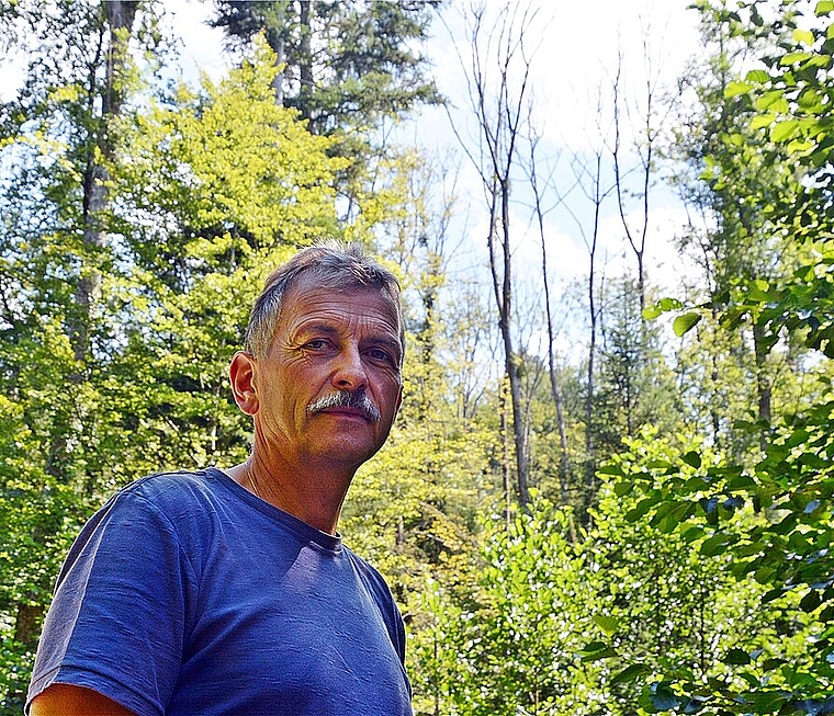 Besorgt: Förster Josef Borer zeigt im Gebiet Schäll (Breitenbach) eine der der zahlreichen abgestorbenen Eschen. Foto: Roland Bürki