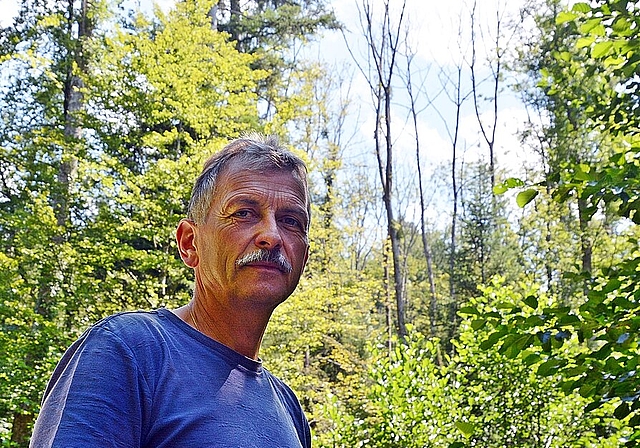 Besorgt: Förster Josef Borer zeigt im Gebiet Schäll (Breitenbach) eine der der zahlreichen abgestorbenen Eschen. Foto: Roland Bürki