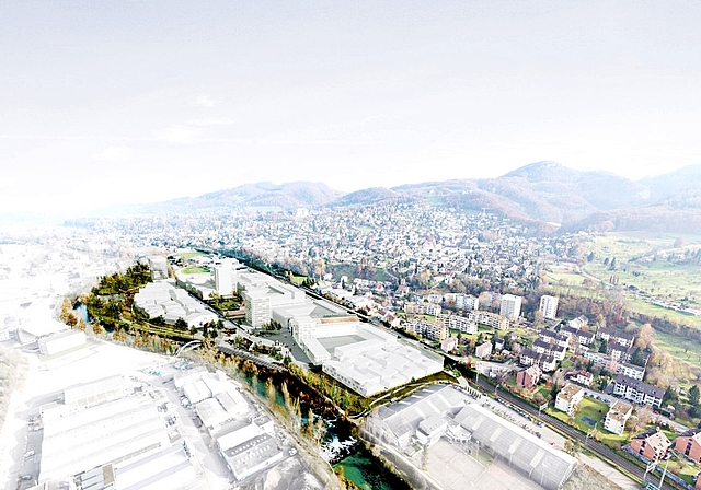 Infrastrukturprojekte: Für die Entwicklung des ehemaligen Swissmetal-Areals und die Verkehrsentlastung von Dornachbrugg sind sie entscheidend.  Foto: ZVG
