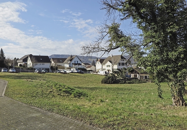 Pachtwechsel: Dieses Stück Land am Oberen Brühlweg wurde vom Gemeinderat neu verpachtet.  Foto: Edmondo Savoldelli