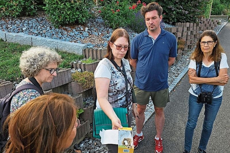 Hatte ein Mauerseglernest mit im Gepäck: Susanna Meyer leitete die Exkursion und gab ihre Begeisterung für diese Vögel weiter. Foto: Melanie Brêchet
