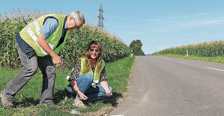 Er hält: Manfred Partl und Christiane Raab stellen fest, dass der kalt ausgebrachte Recycling-Asphalt das erste Jahr gut überstanden hat.