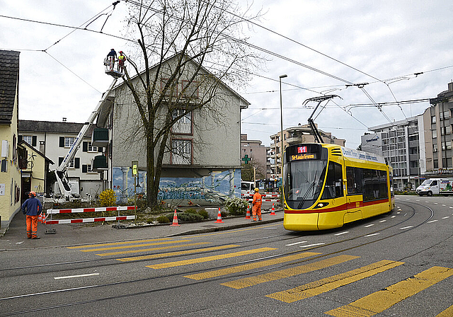 Portionenweise gefällt: Fachmännisch wird ein Baum an der Hauptstrasse von der Hebeplattform aus bearbeitet.  Foto: Heiner Leuthardt