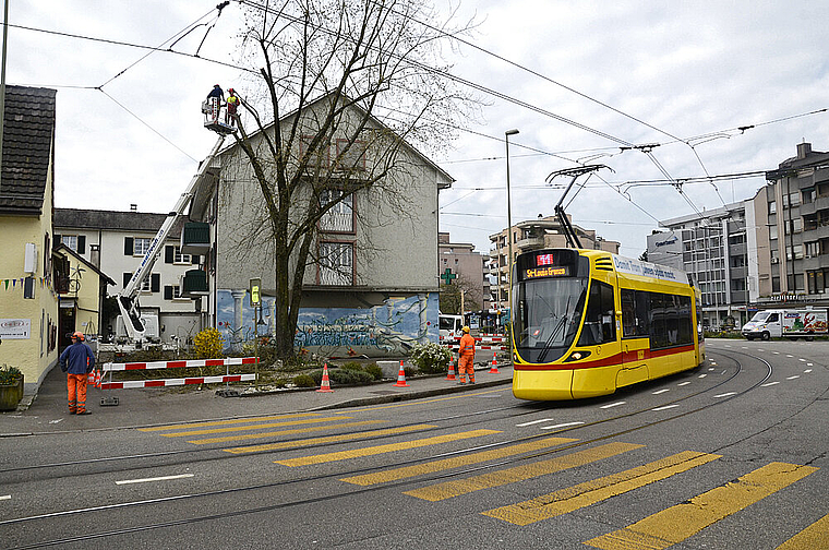 Portionenweise gefällt: Fachmännisch wird ein Baum an der Hauptstrasse von der Hebeplattform aus bearbeitet. Foto: Heiner Leuthardt