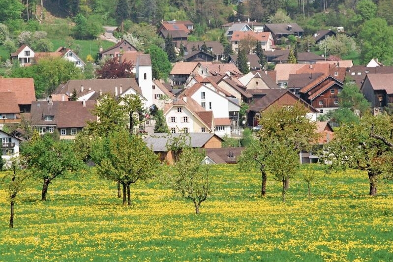 Massvolle Entwicklung: Die neue Ortsplanrevision soll dafür sorgen,
dass Gempen nicht stärker wächst, als im Leitbild festgehalten ist. Foto: zvg